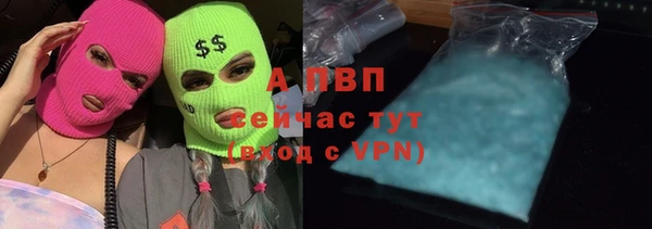 индика Абдулино