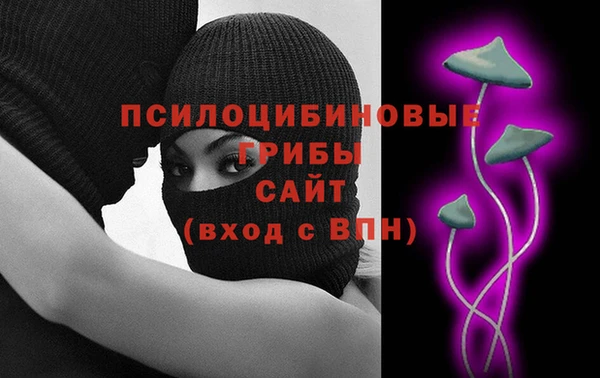 индика Абдулино